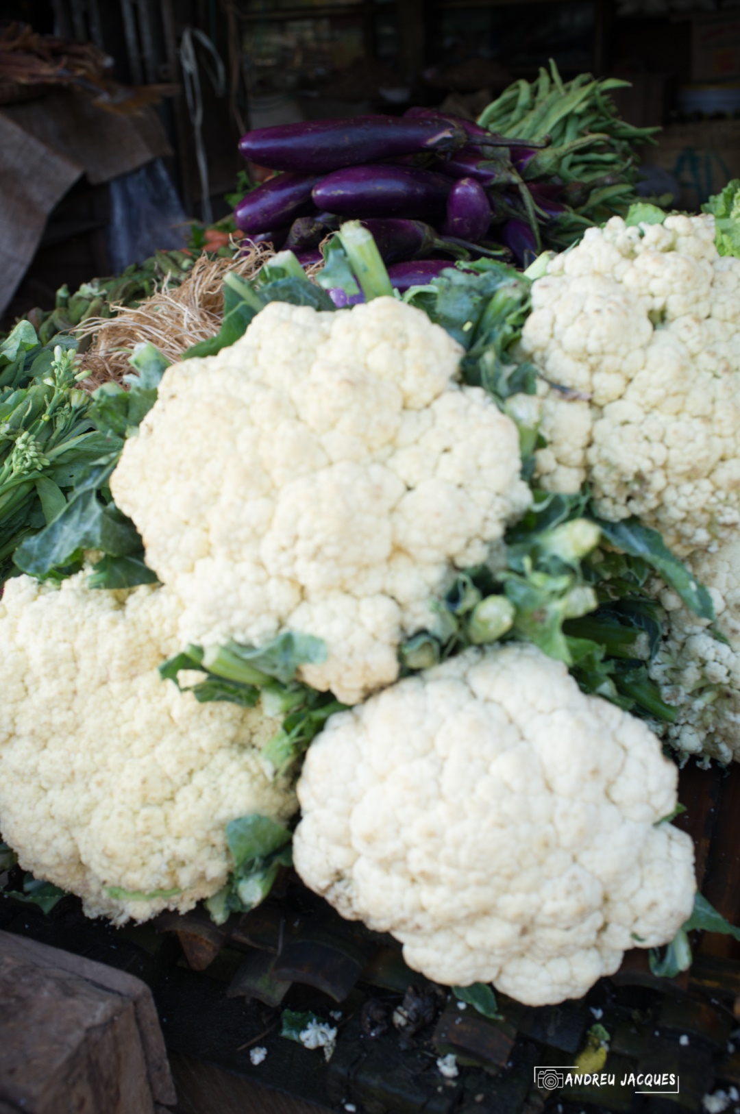 birmanie-153 (Grand).jpg